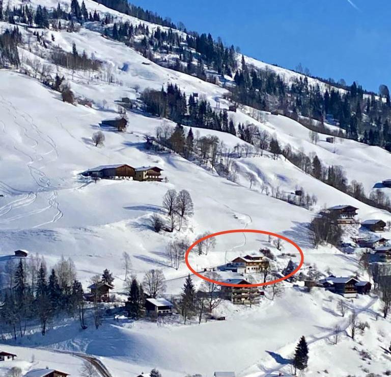 Alm Seasons Premium Chalet & Studios Saalbach-Hinterglemm Eksteriør bilde