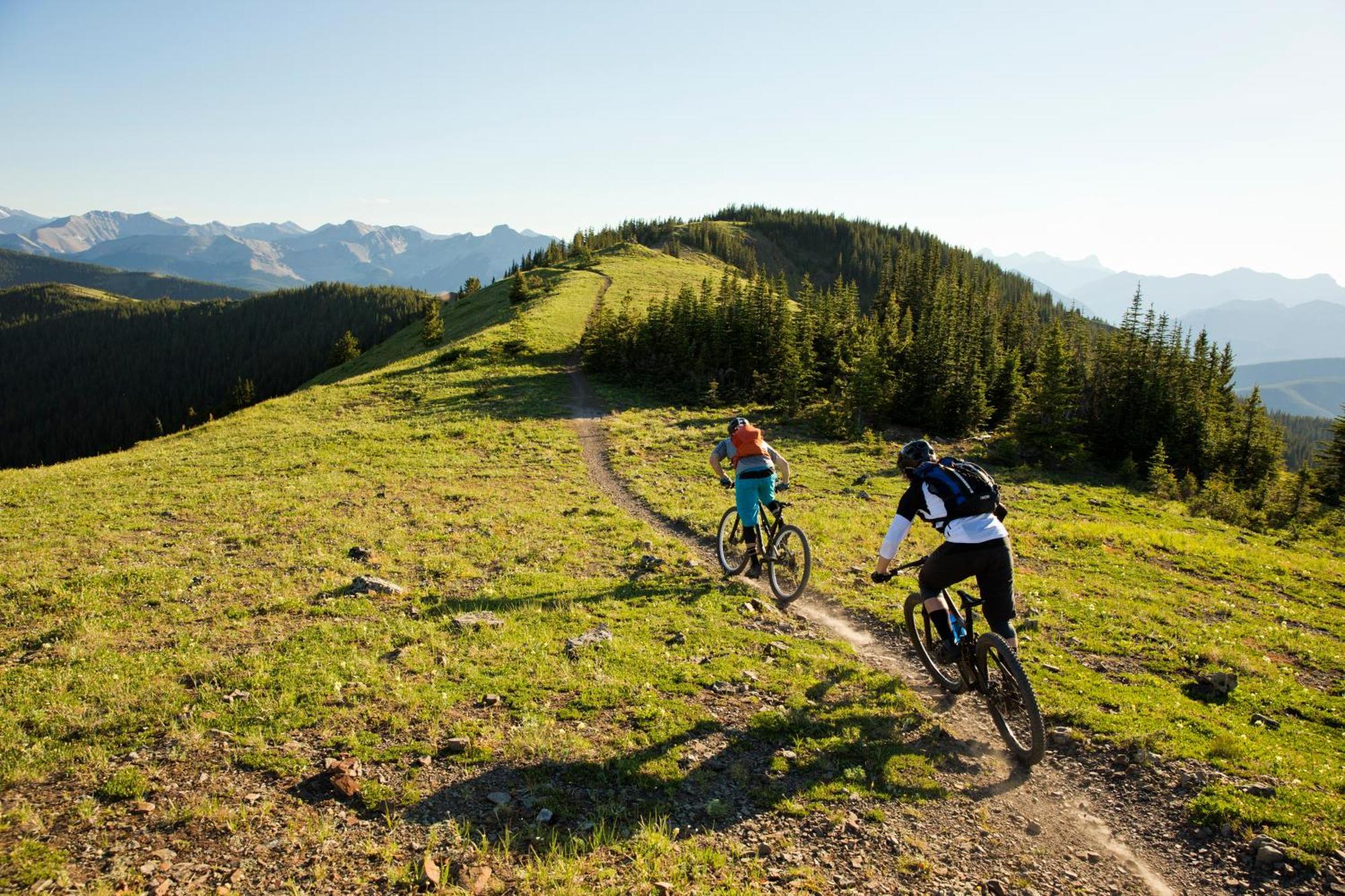 Alm Seasons Premium Chalet & Studios Saalbach-Hinterglemm Eksteriør bilde